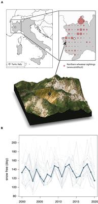 Early Breeding Conditions Followed by Reduced Breeding Success Despite Timely Arrival in an Alpine Migratory Songbird